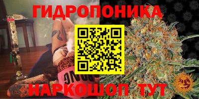 a pvp Пыть-Ях