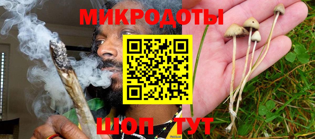 Сокол  Галлюциногенные грибы Psilocybine cubensis  Псилоцибиновые грибы мухоморы  Вход с VPN 